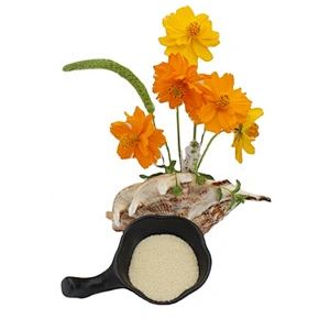 2024 new arrival manufacturer edible gelatin 20kg/bag 120 240 250 bloom gelatina