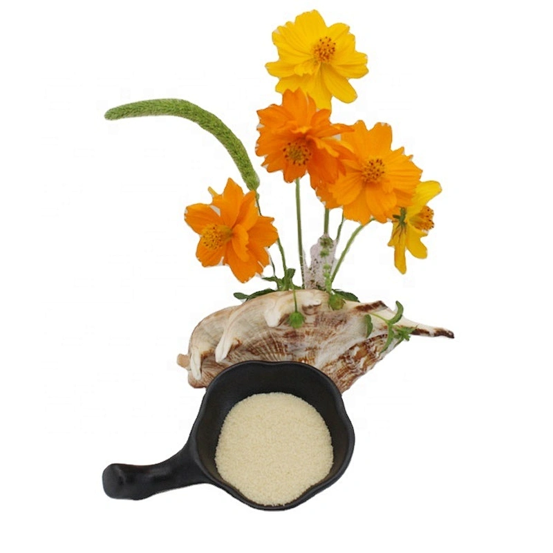 2024 new arrival manufacturer edible gelatin 20kg/bag 120 240 250 bloom gelatina